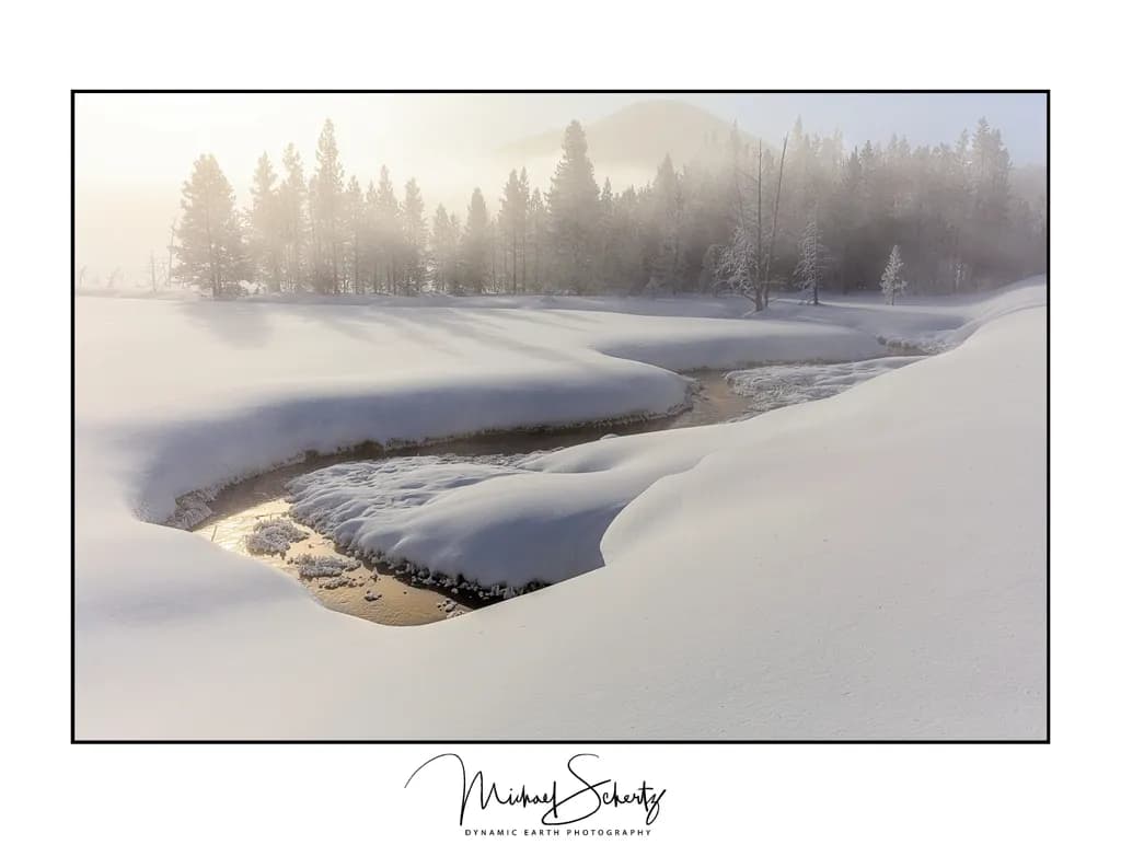 Winter's Morning Embrace