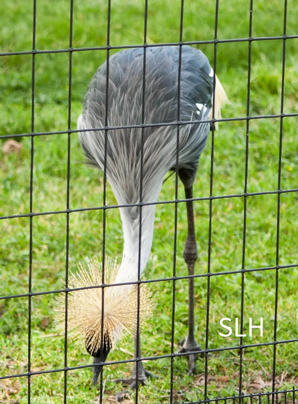 Beitragsbild 1