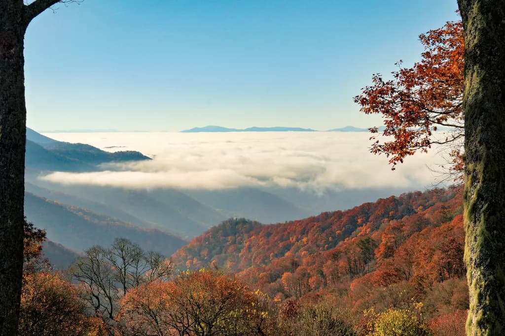 Smokies in Fall