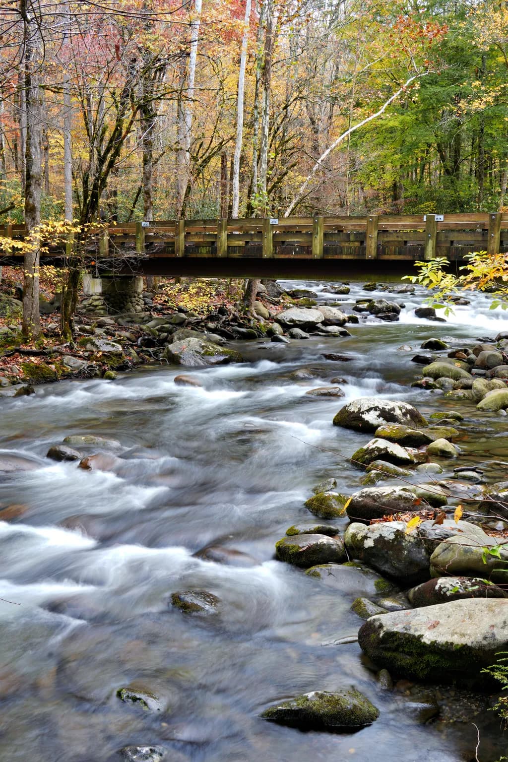 Bridge over the Little River
