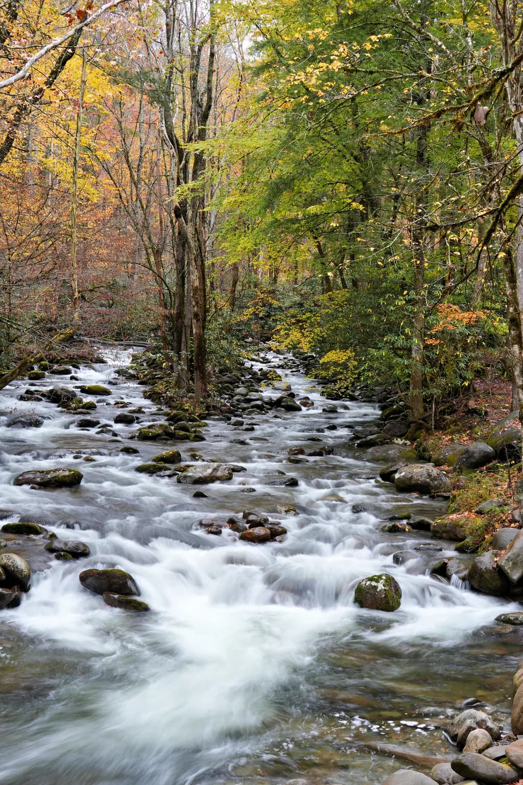 Little River Serenity