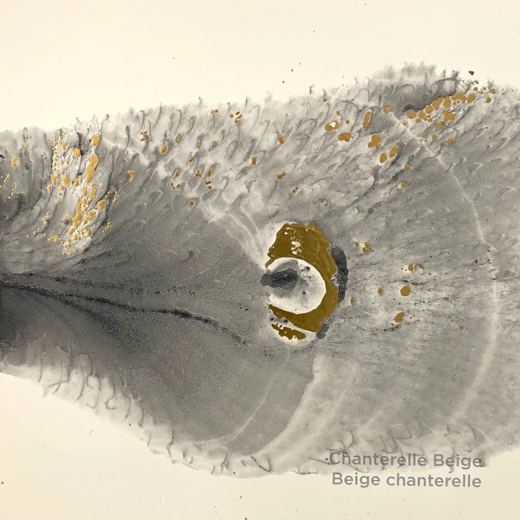 Whispers of Gold: An Abstract Journey Through Gray Textures
