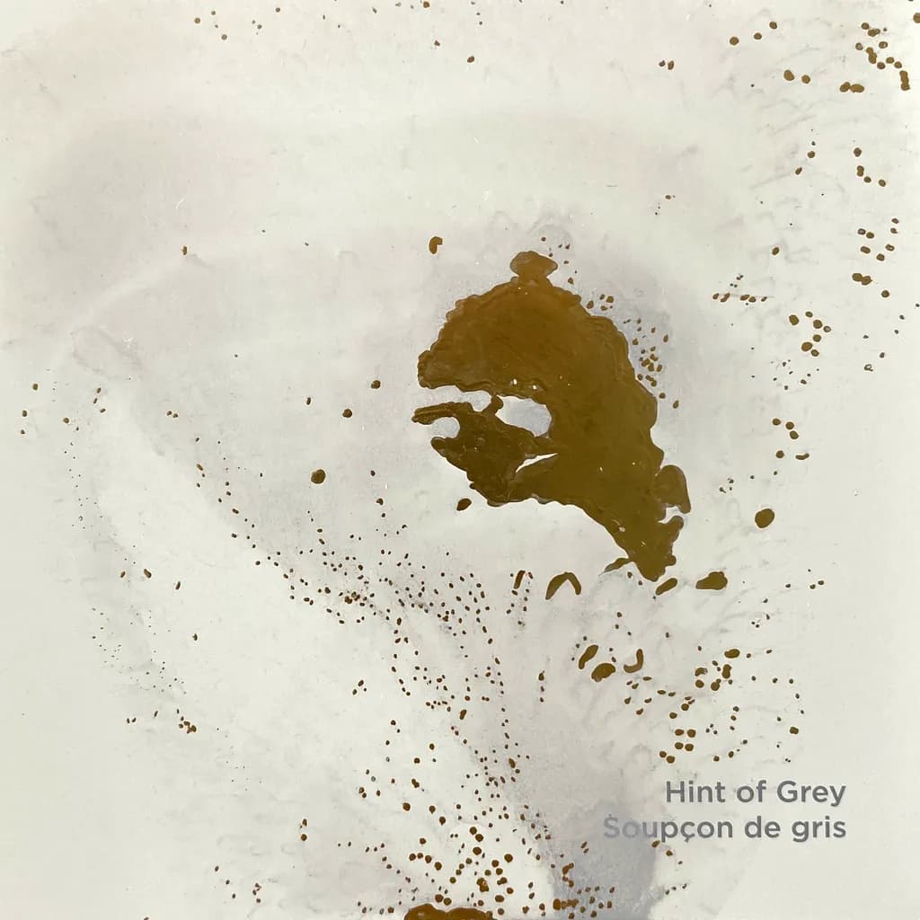 Whispers of Earth: A Subtle Dance of Grey and Gold