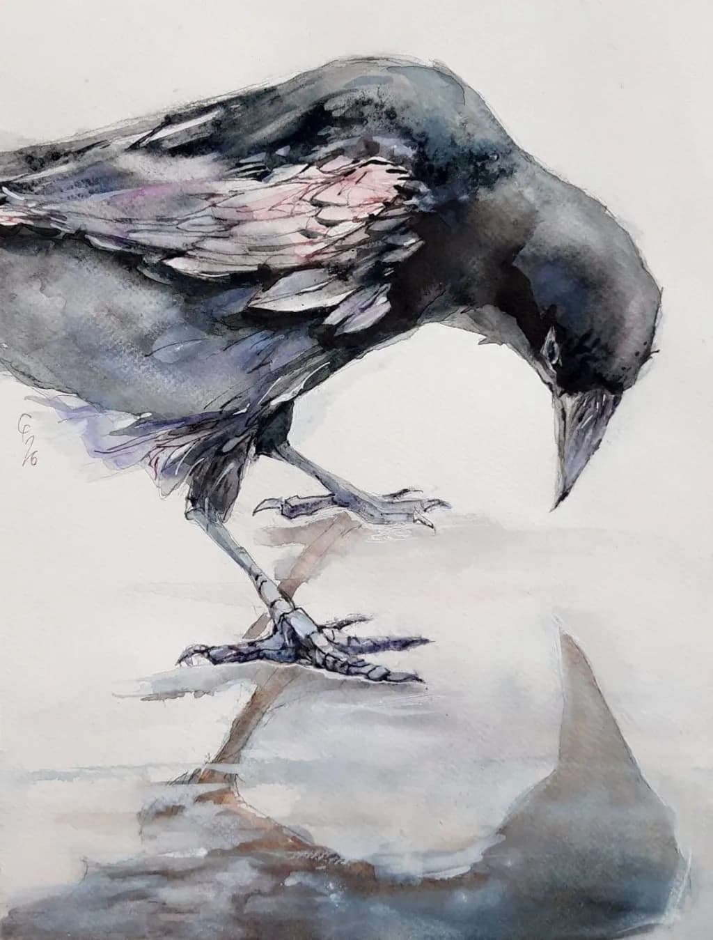 Mirror Crow