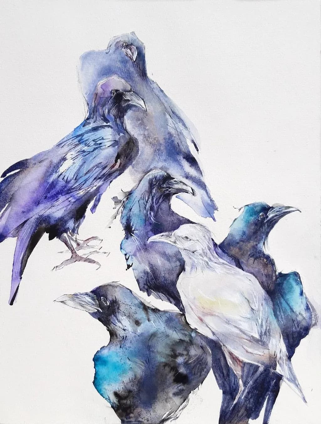 Blue Ravens Assembly