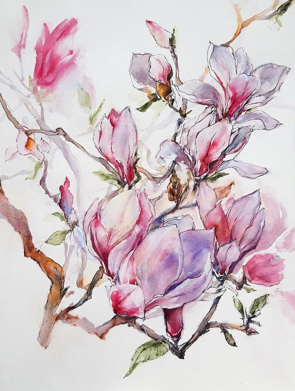 Magnolia Bloom