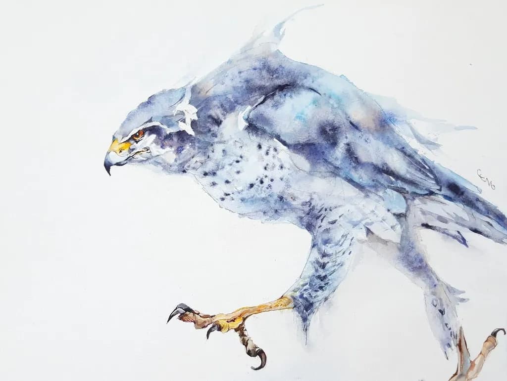 Poised Falcon