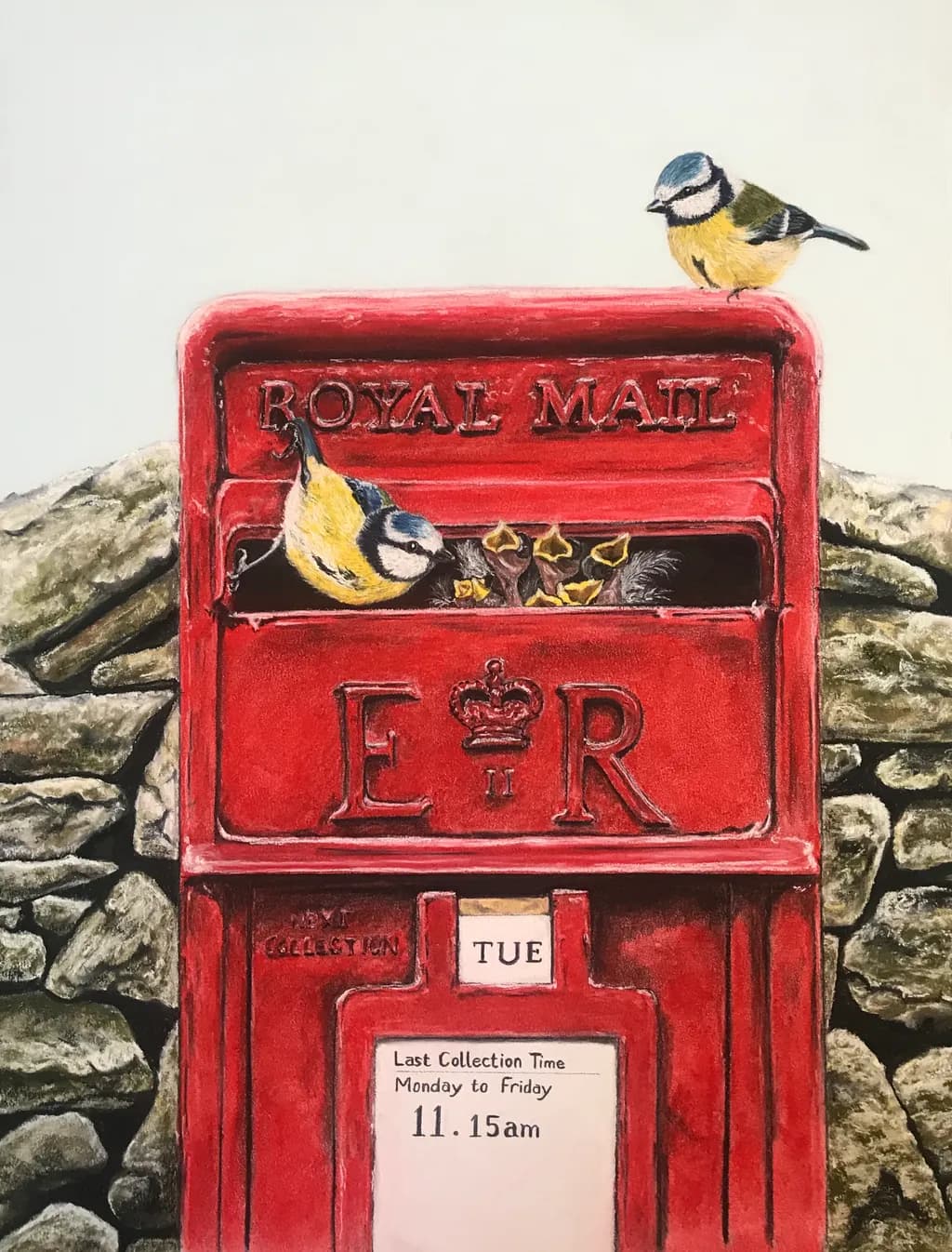 Blue Tits at the Postbox