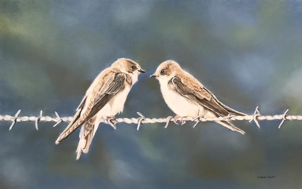 Two Birds on Barbed Wire