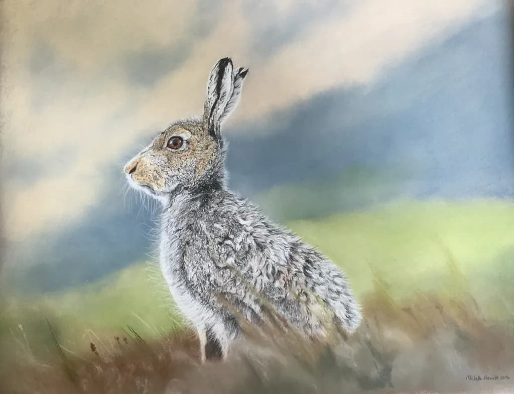 Alert Hare