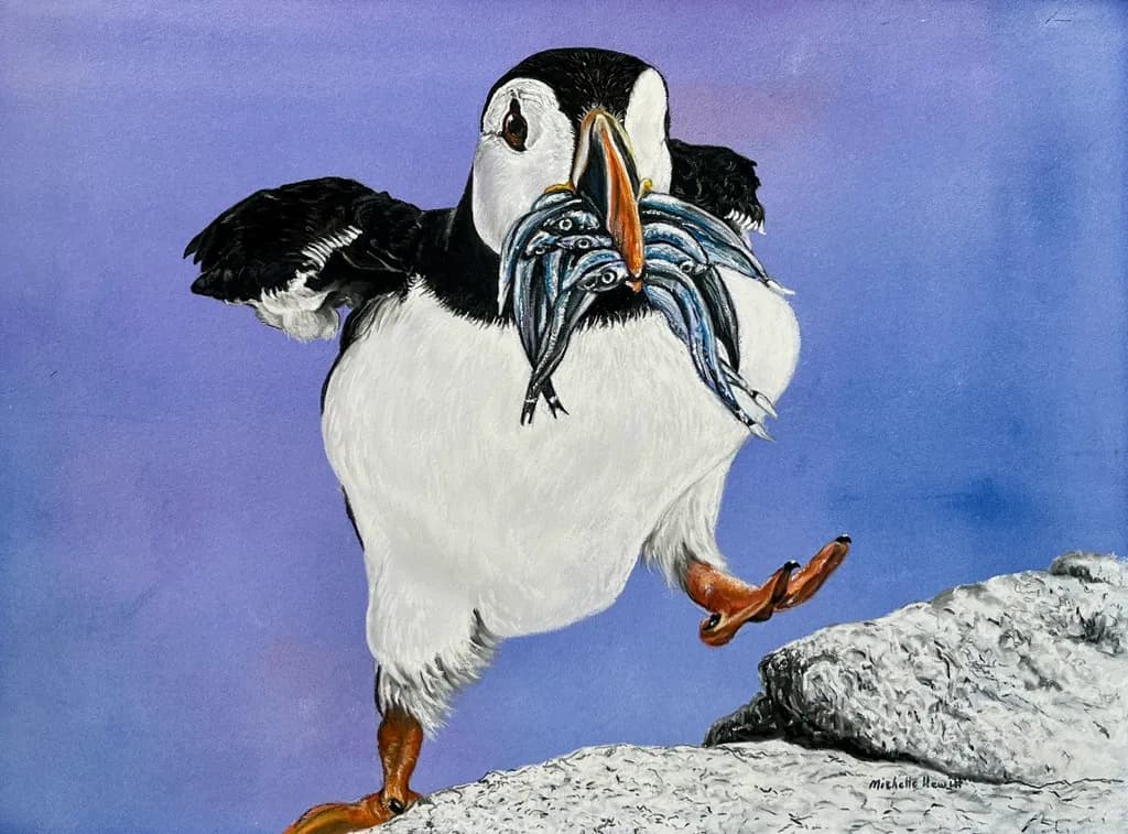 Puffin’s Fish Catch