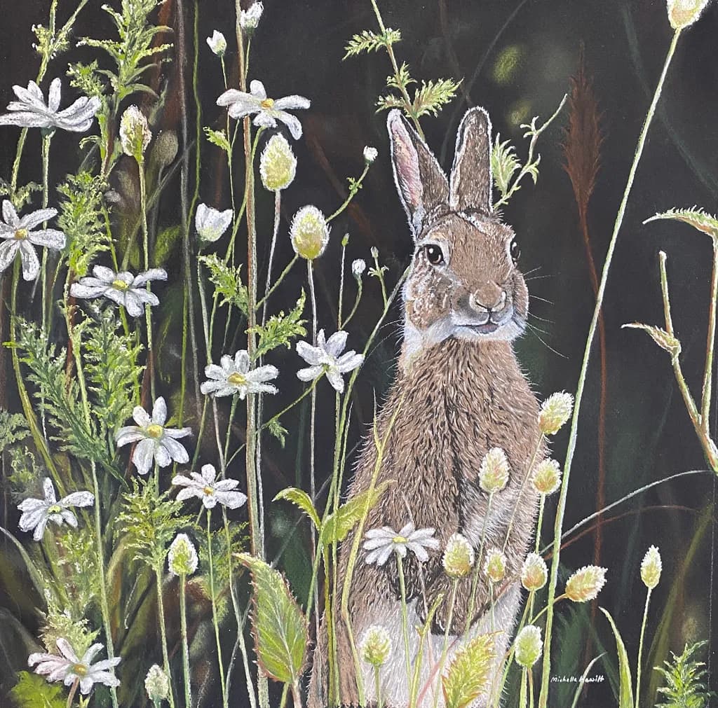 Hare Among Daisies