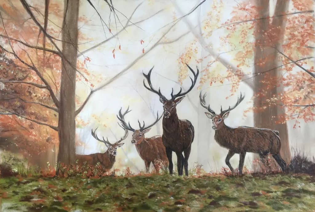 Autumn Watchers