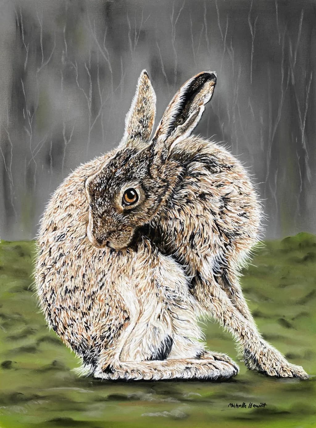 Curious Hare