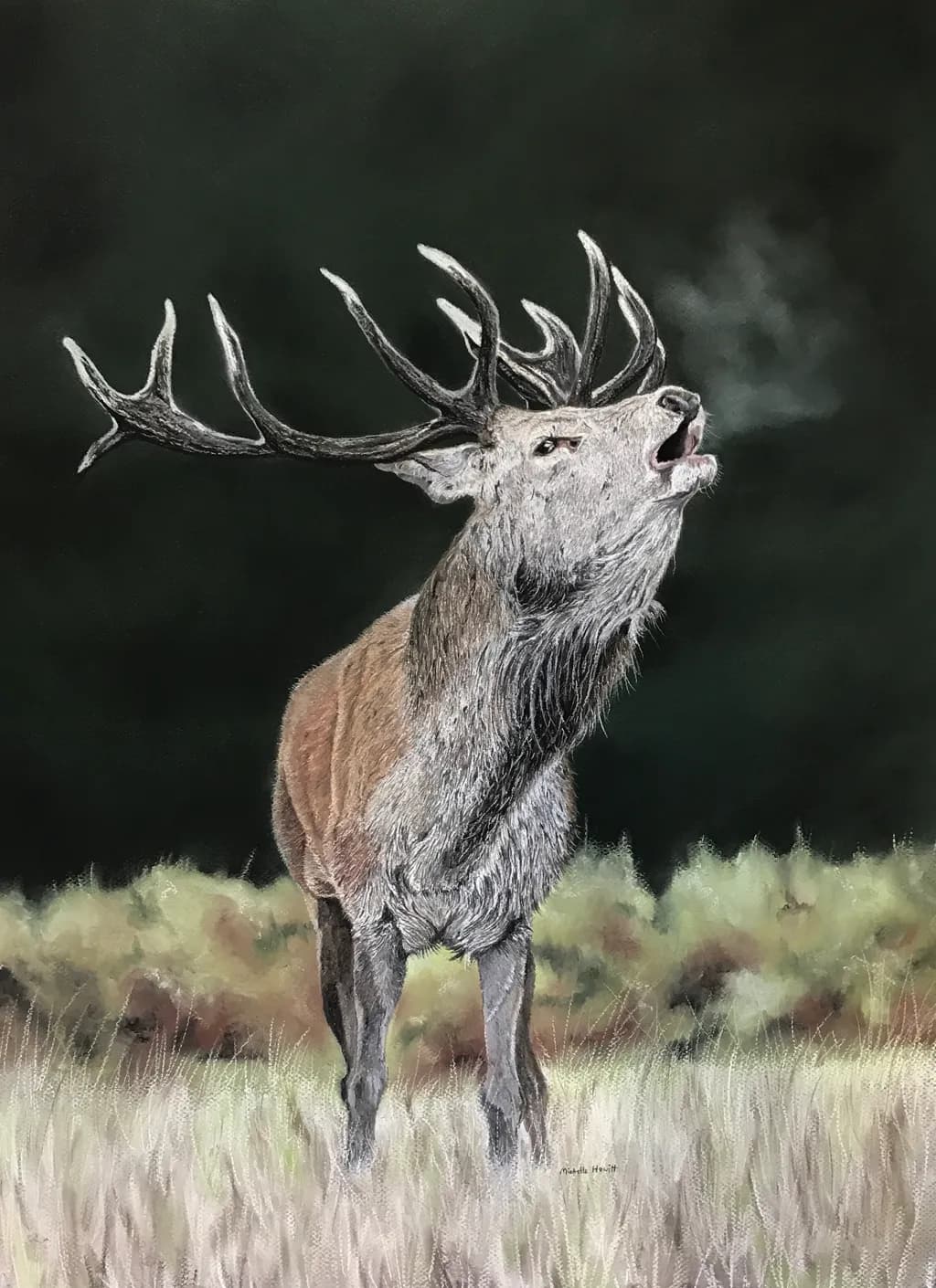 Morning Mist Call