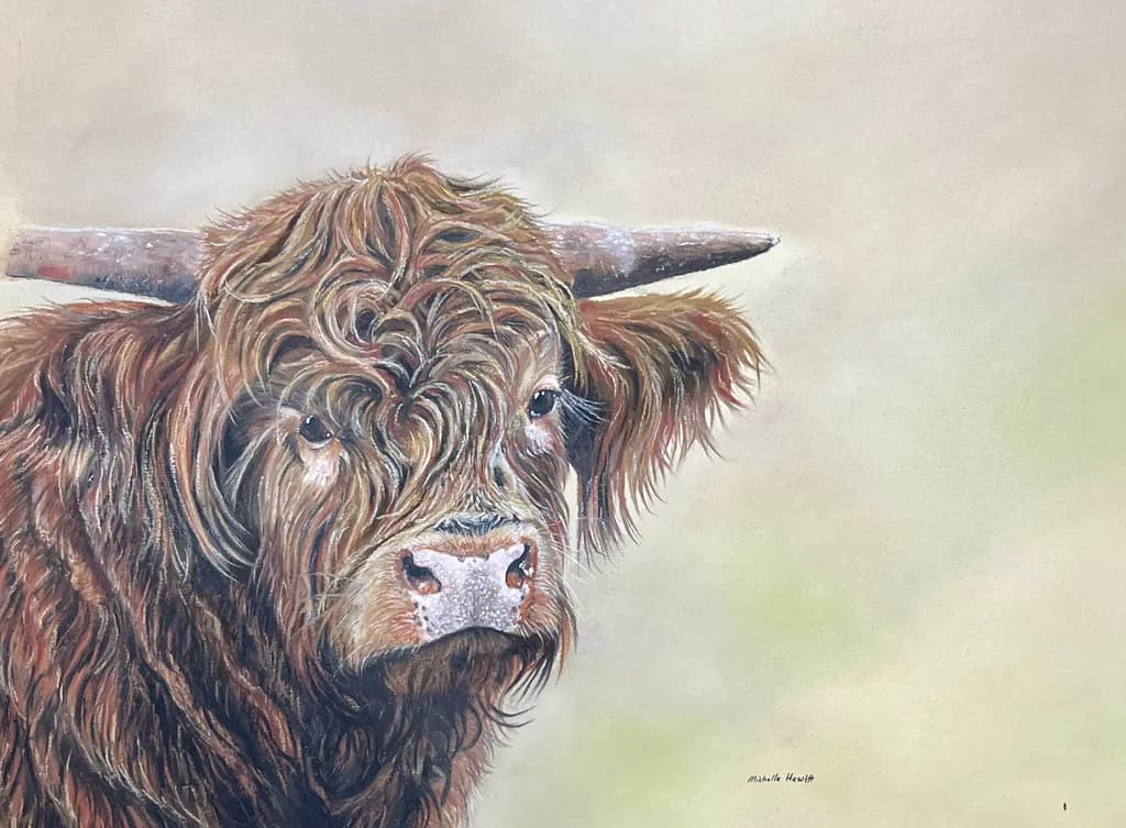 Highland Curiosity