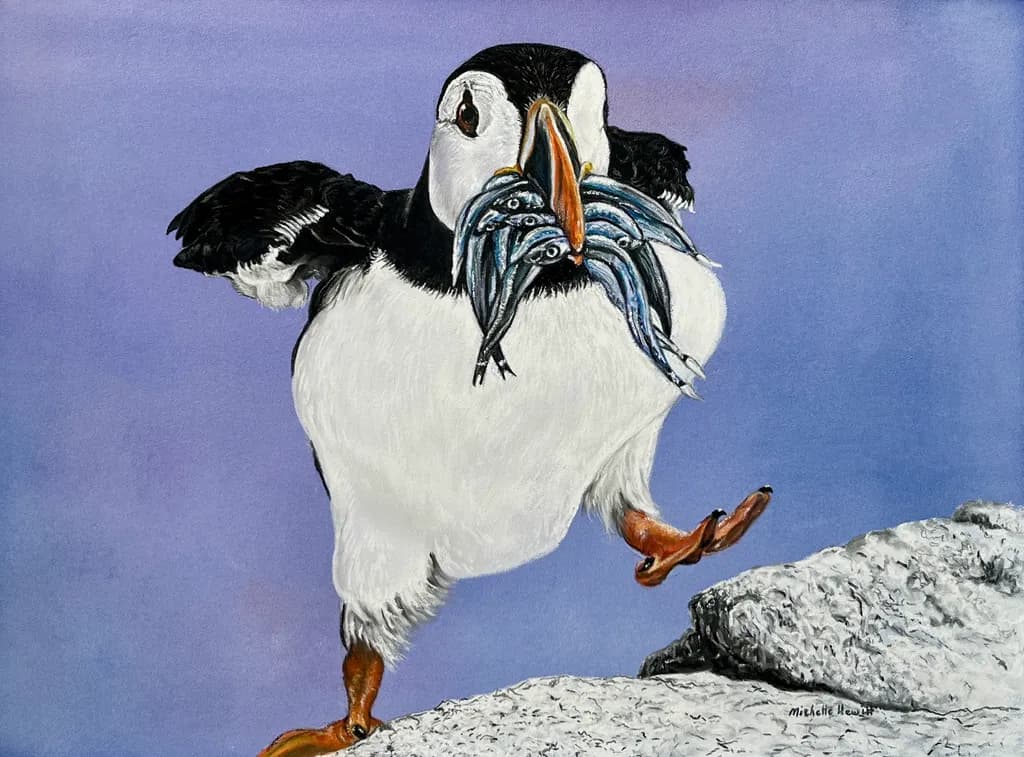 Puffin's Catch