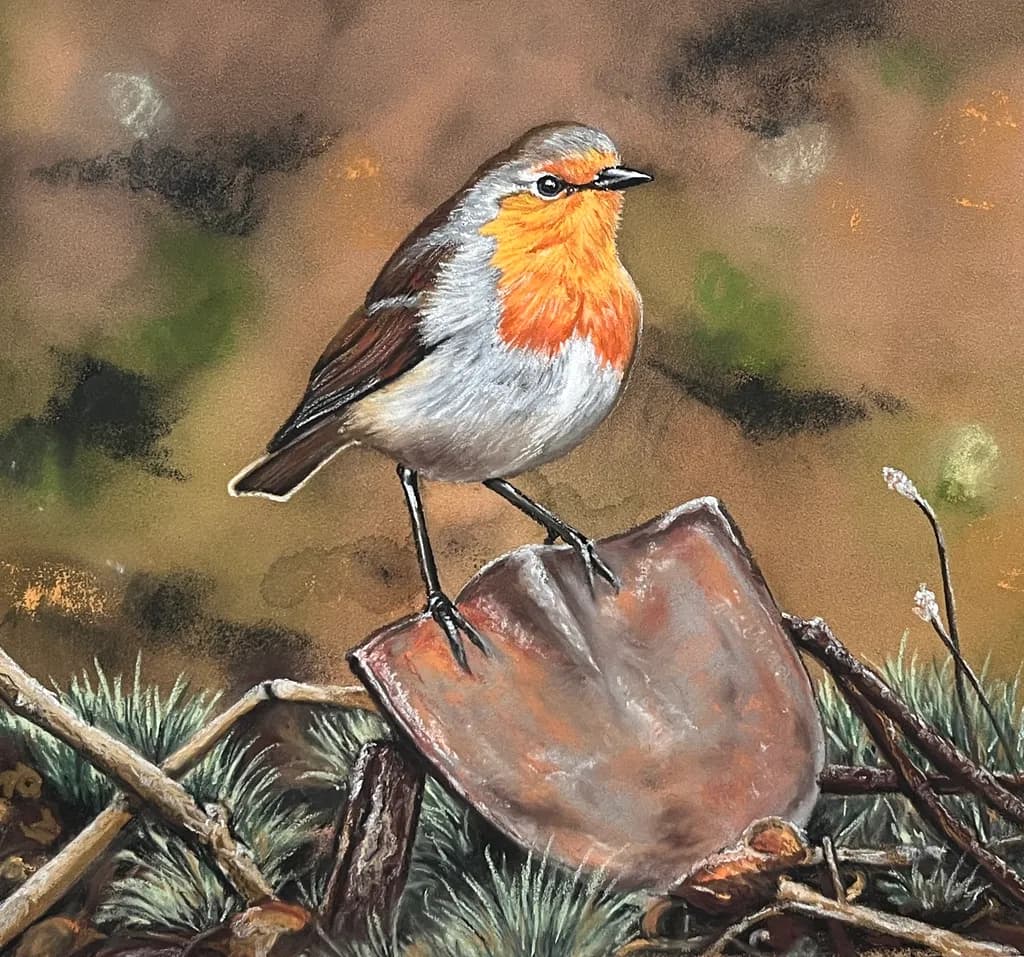 Rusty Spade Robin