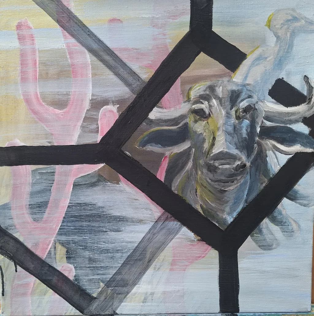 Fractured Bovine