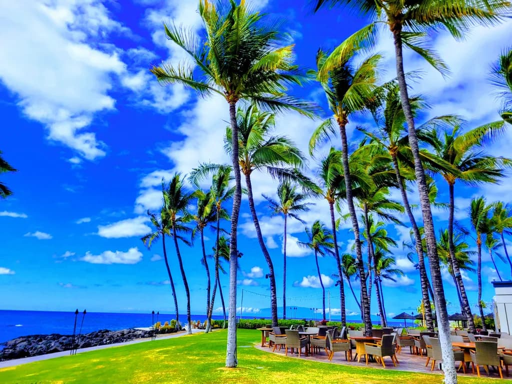 Tropical Serenity
