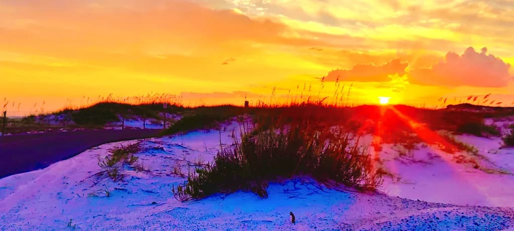 Golden Dunes Sunset