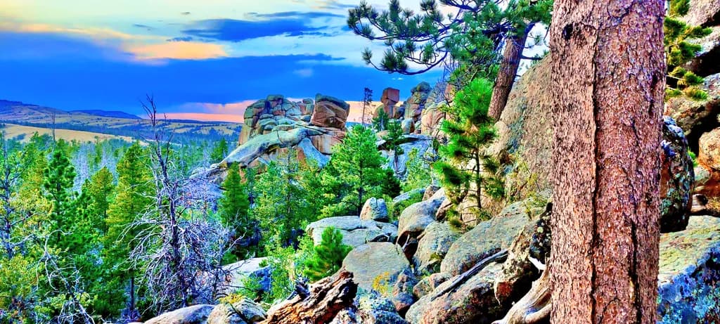 Rocky Vista
