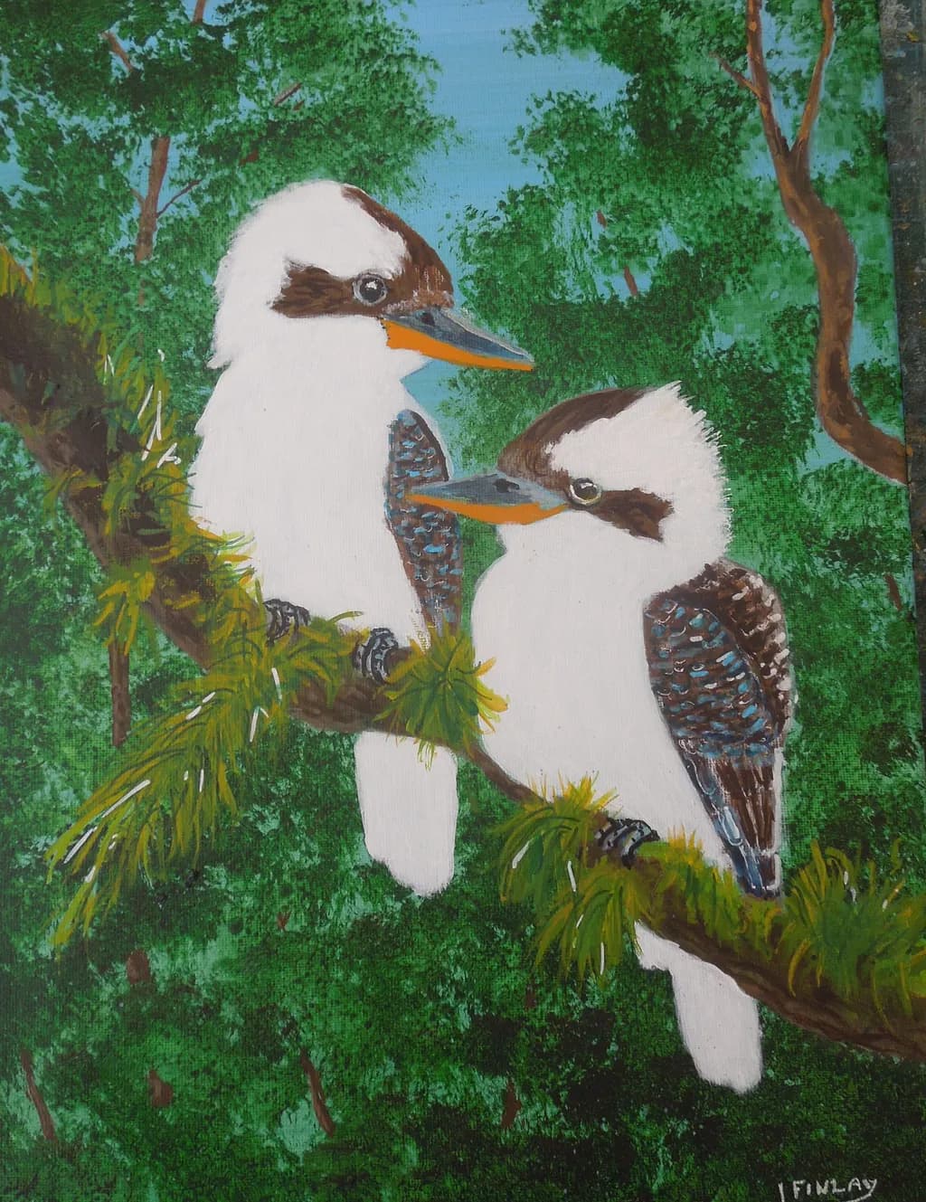 Forest Companions