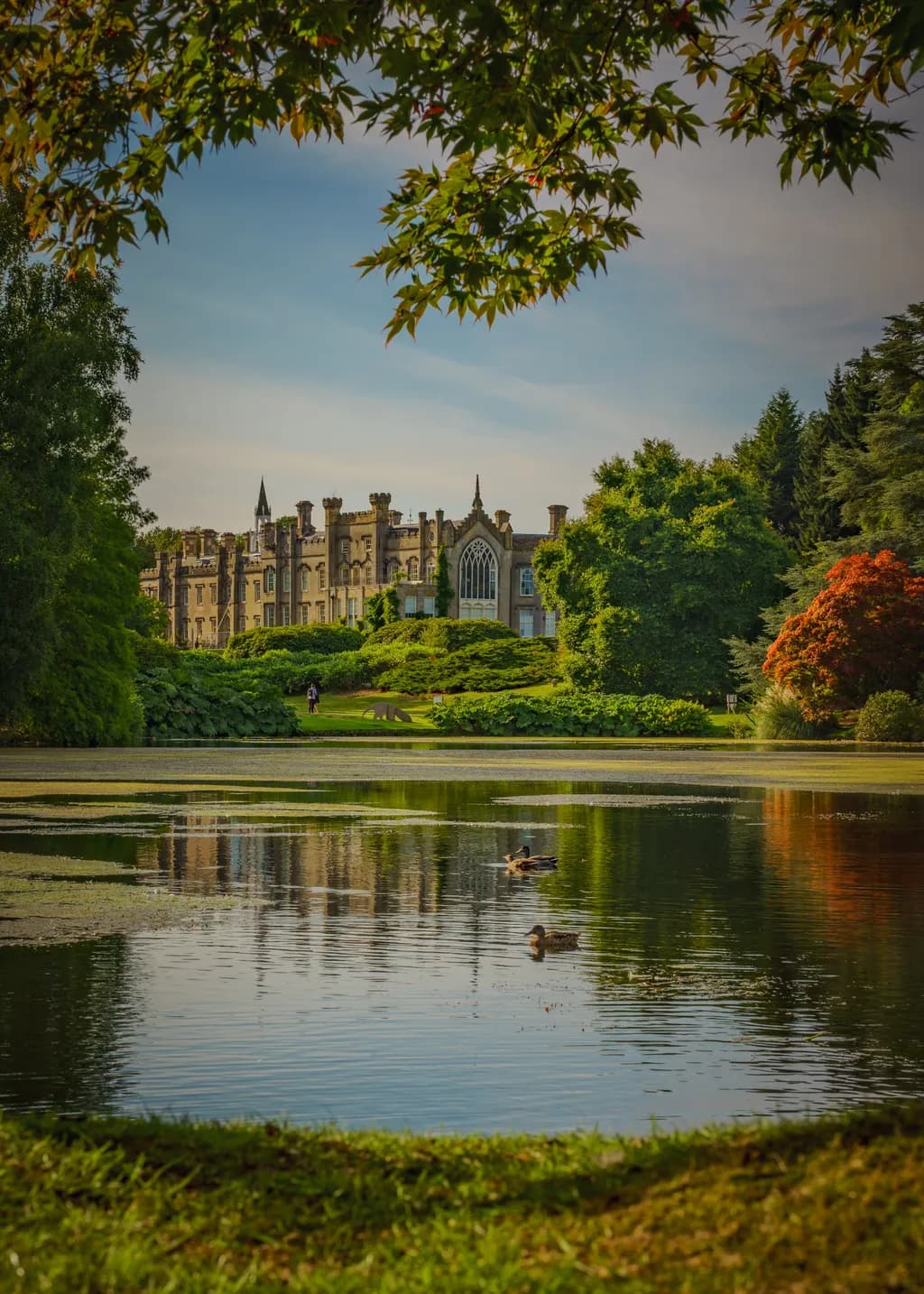 Castle Reflection