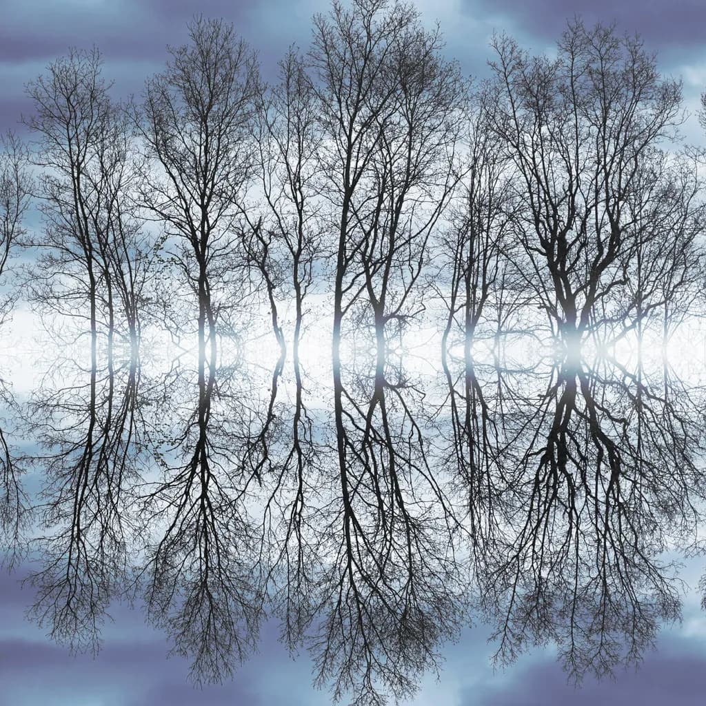 Whispers of Reflection: A Serene Dance of Trees Beneath a Cloudy Sky