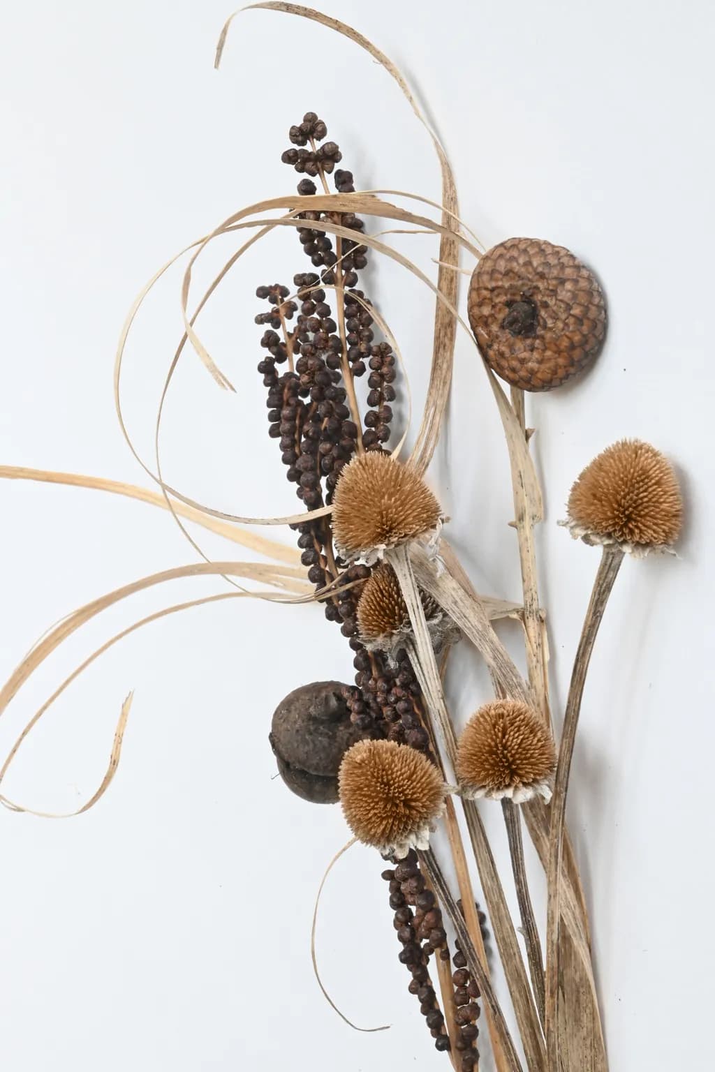 Botanical Harmony