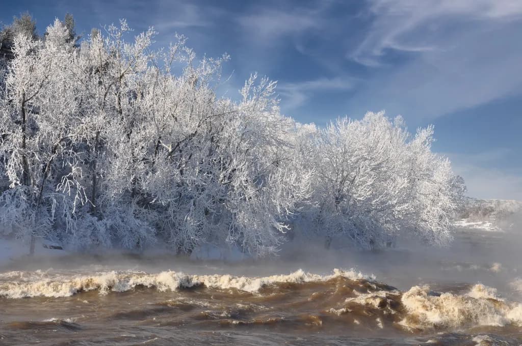 Frozen Flow