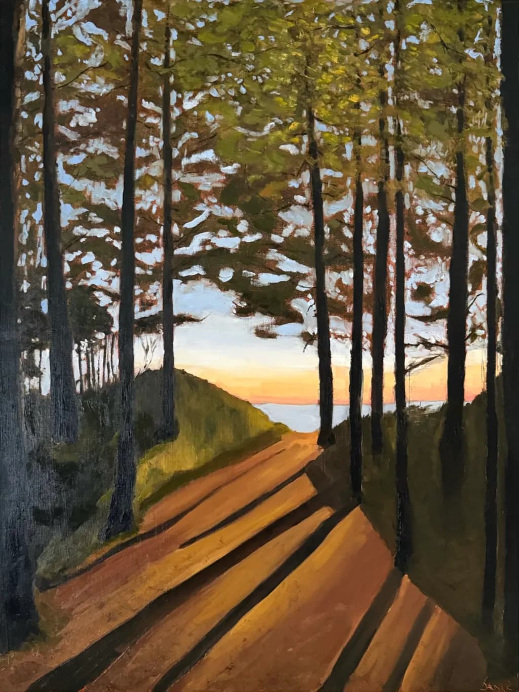 Sunset Forest Path