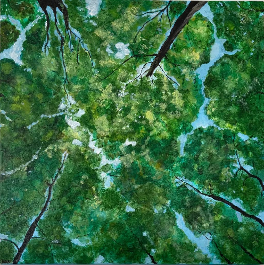 Forest Canopy View