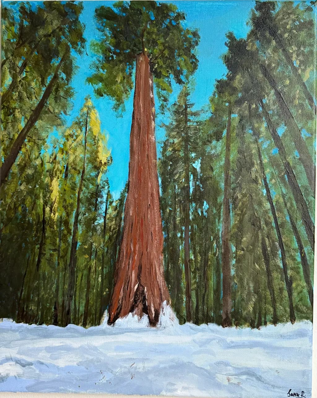 Majestic Redwood