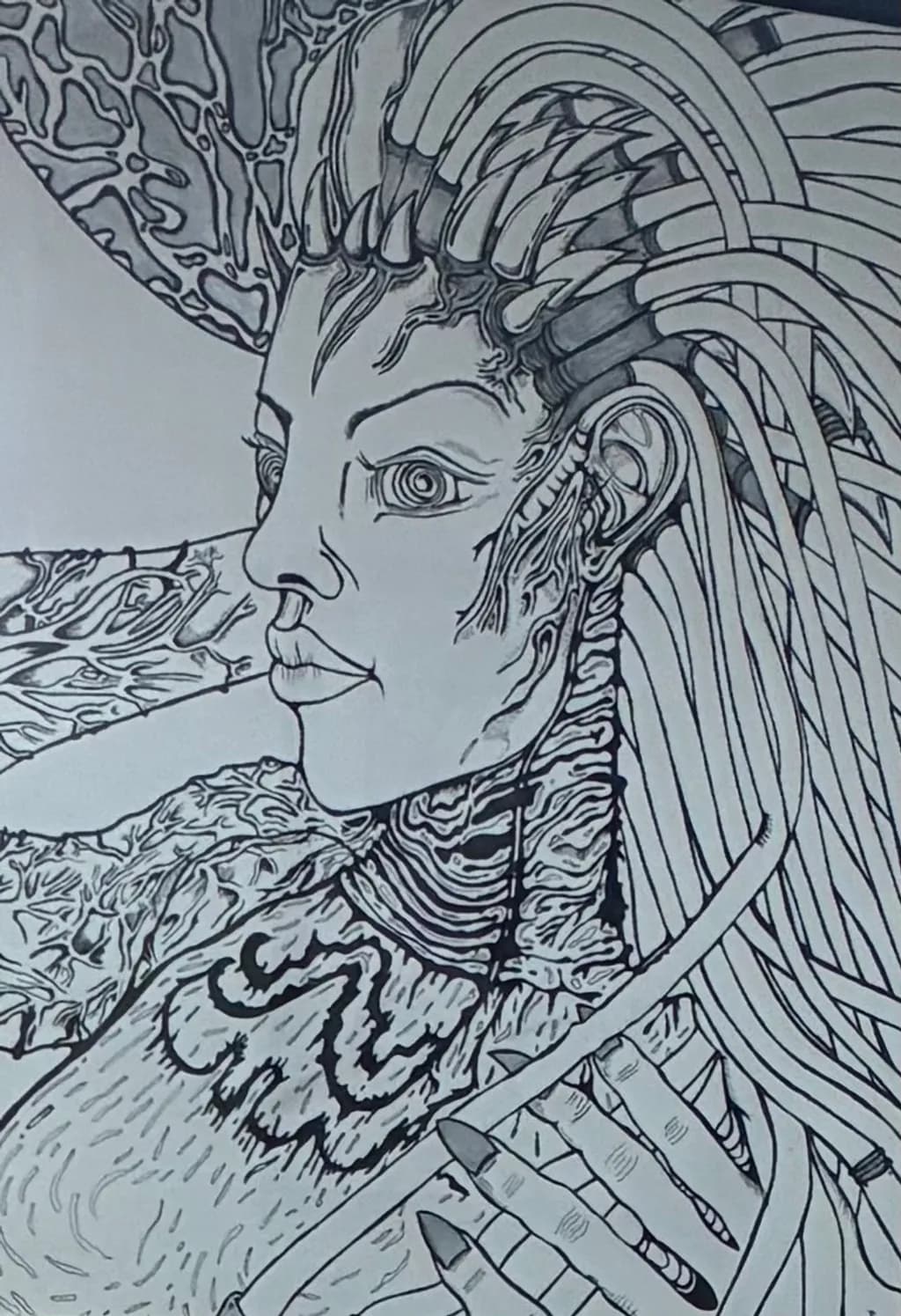 Circuit Queen