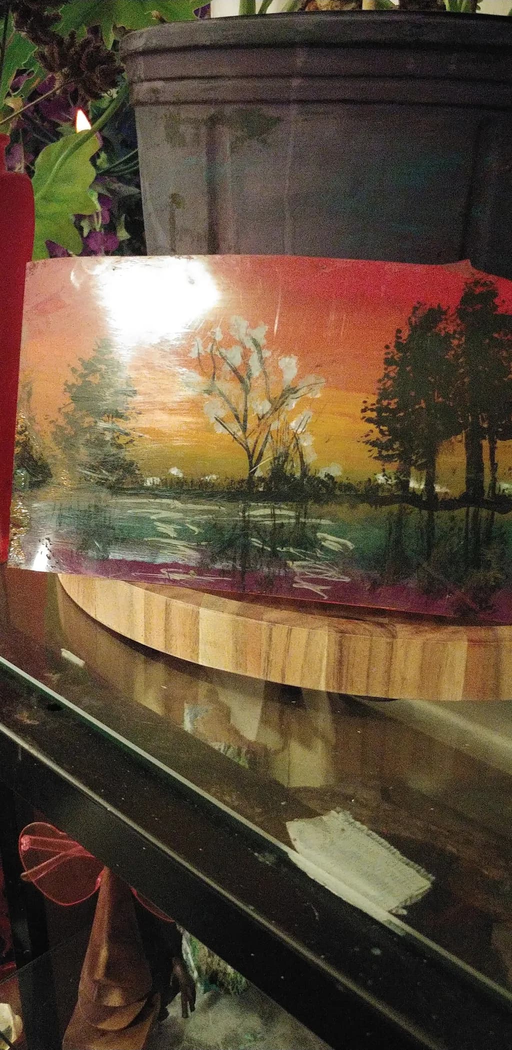 Sunset Trees Reflection