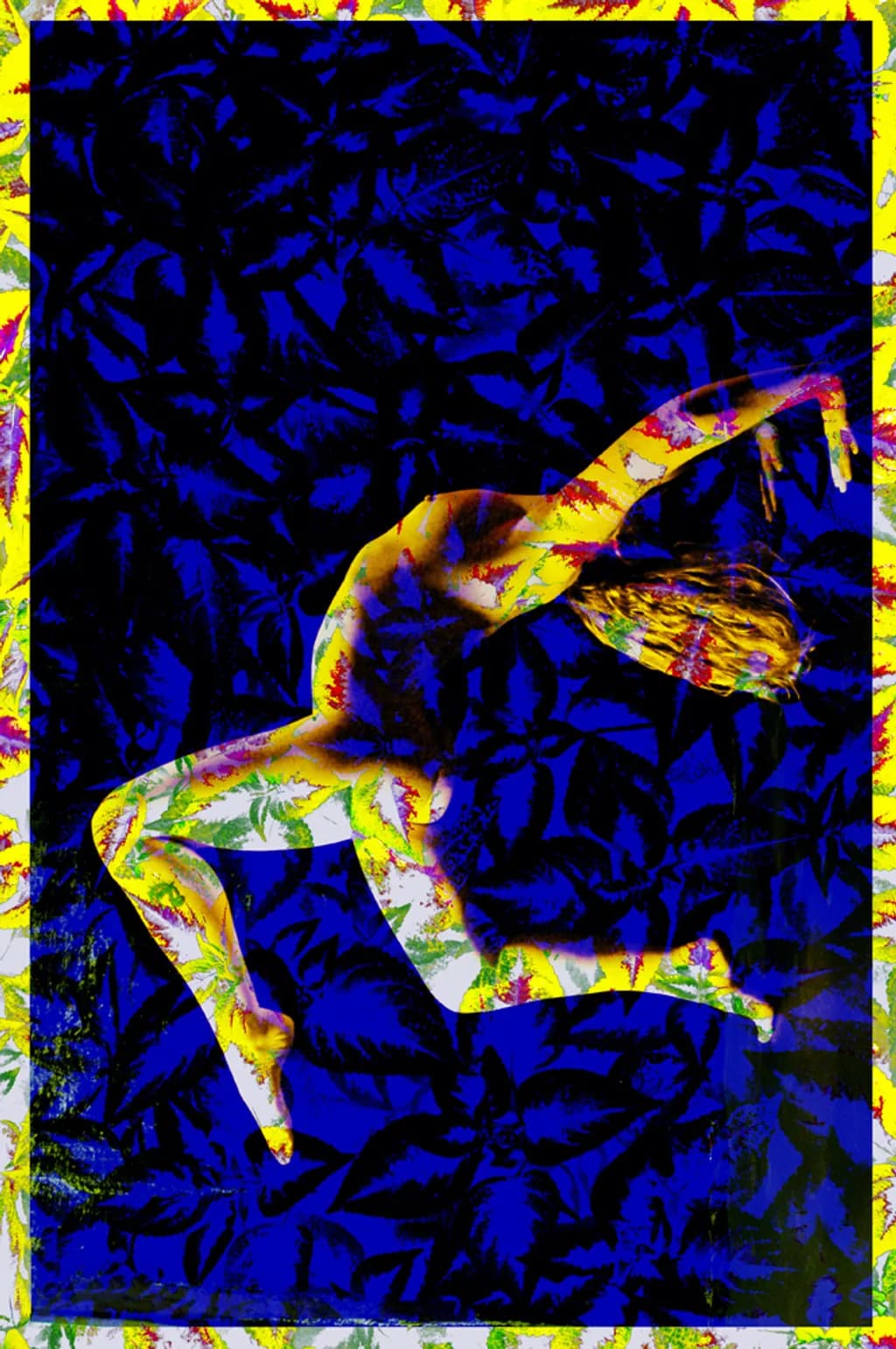 Frenzy