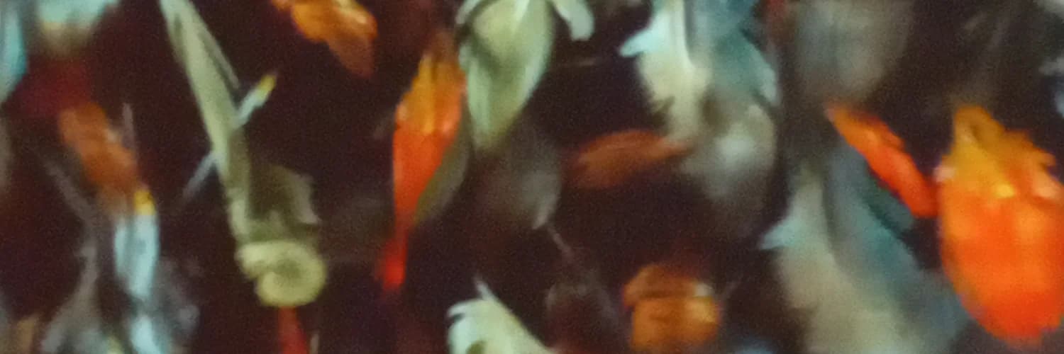 Profilbanner