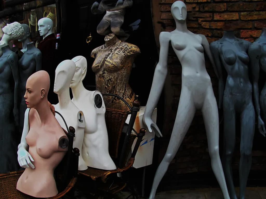 Assemblage of Forms