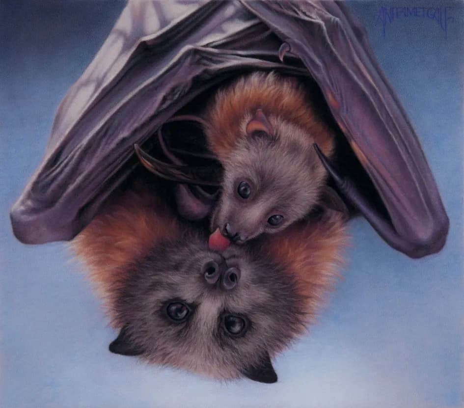 Upside-Down Bats