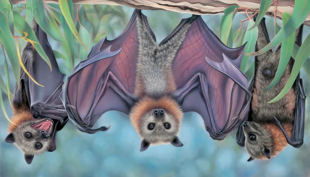 Hanging Bats