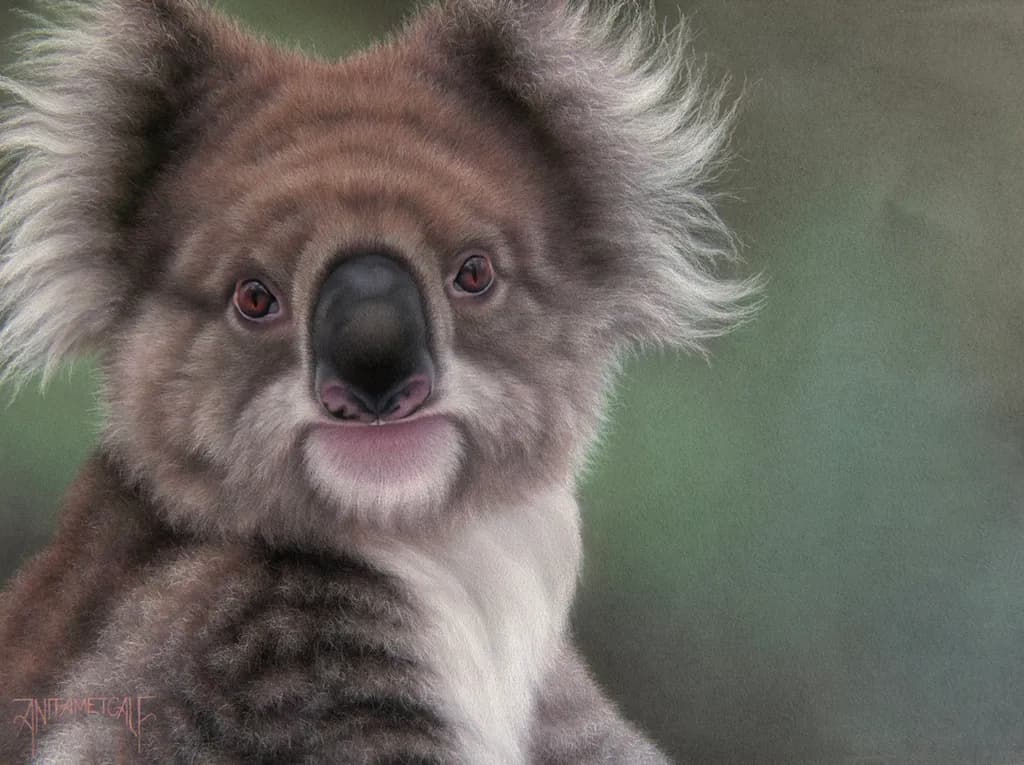 Koala Charm