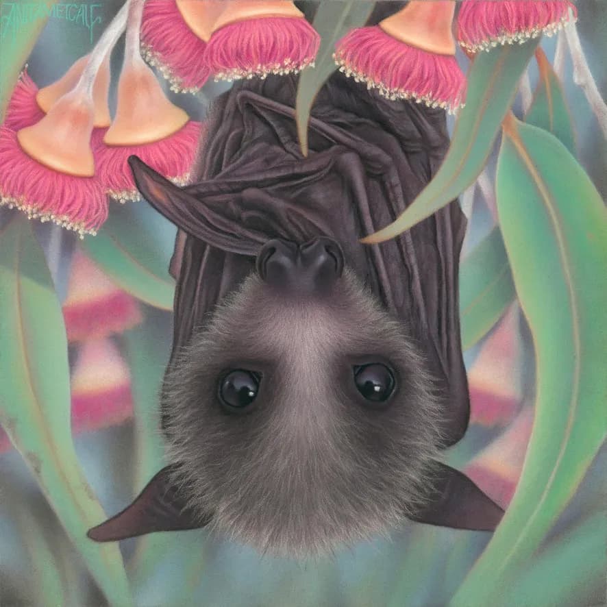 Bat Blossom