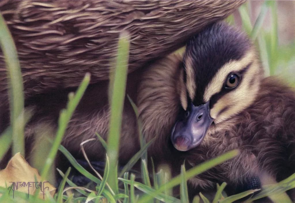 Nestled Comfort