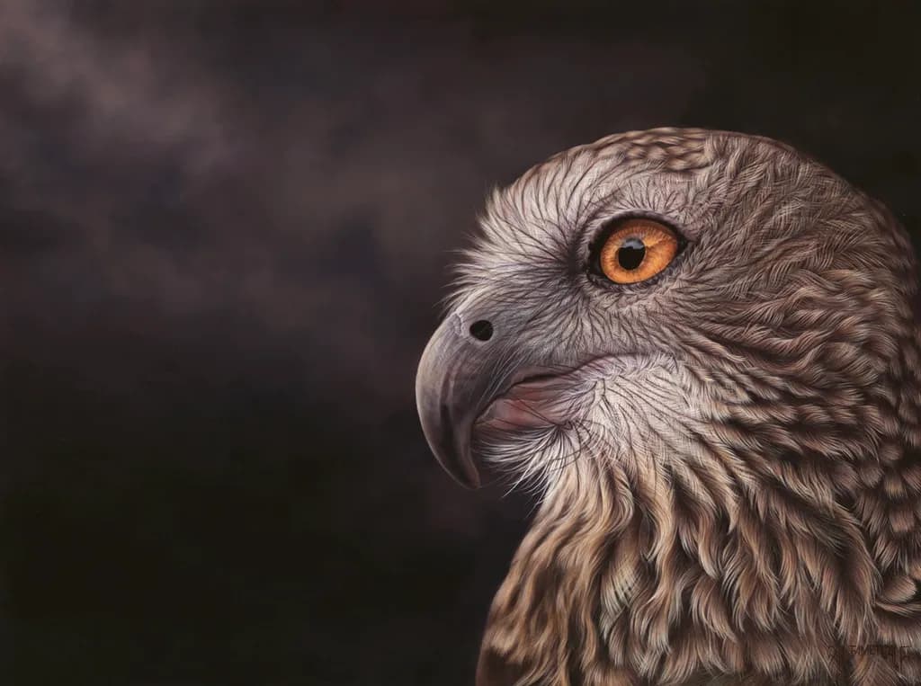 Majestic Gaze