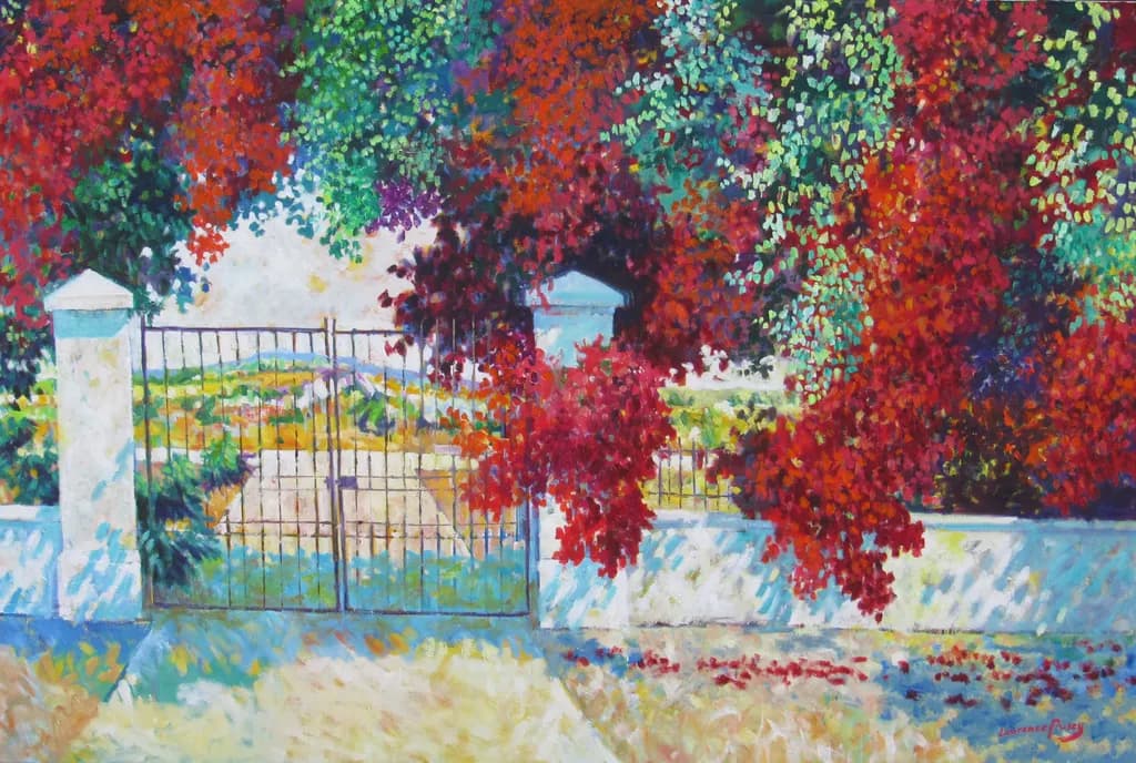 Garden Gate Bougainvillea