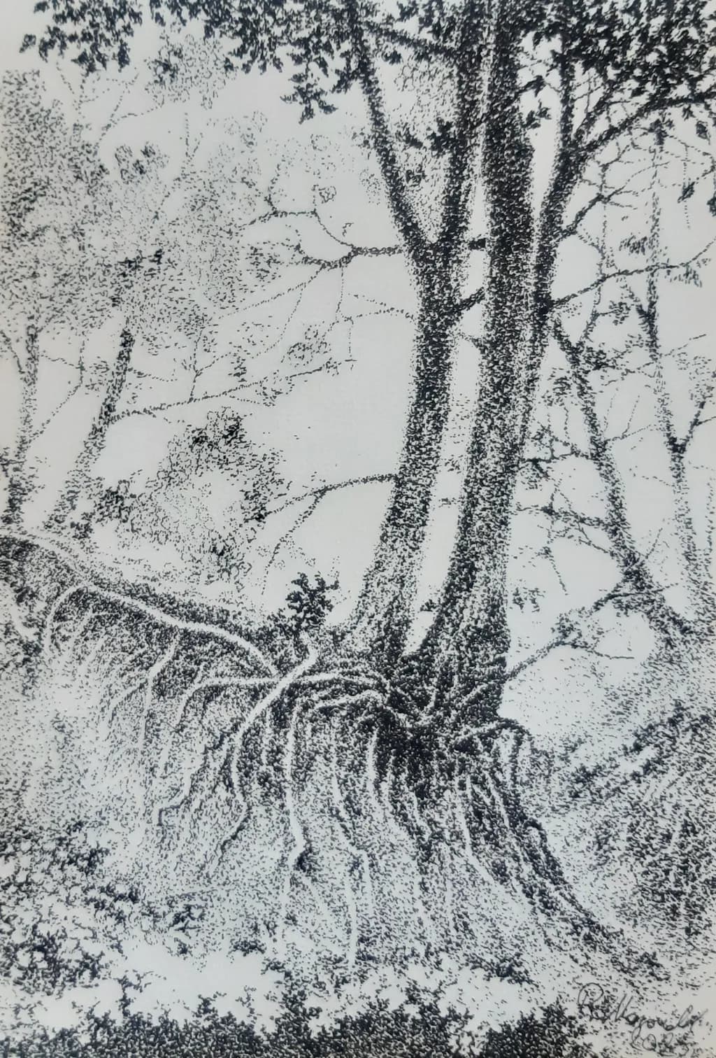 Rooted Silence
