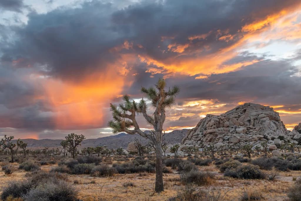 Desert Mountain Sunset
