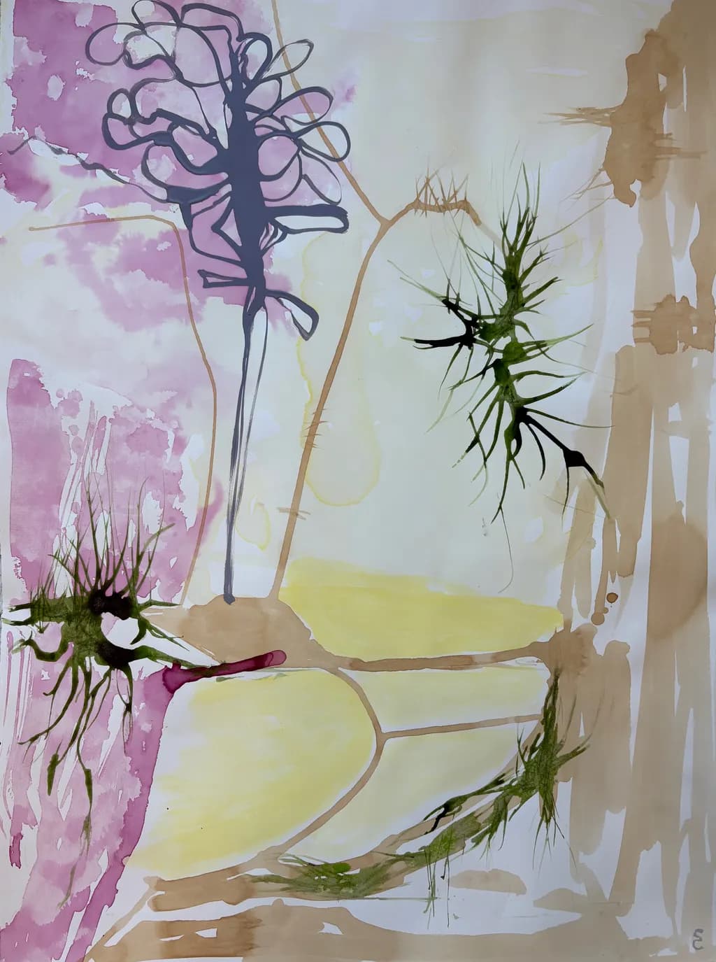 Coastal Thistle Study