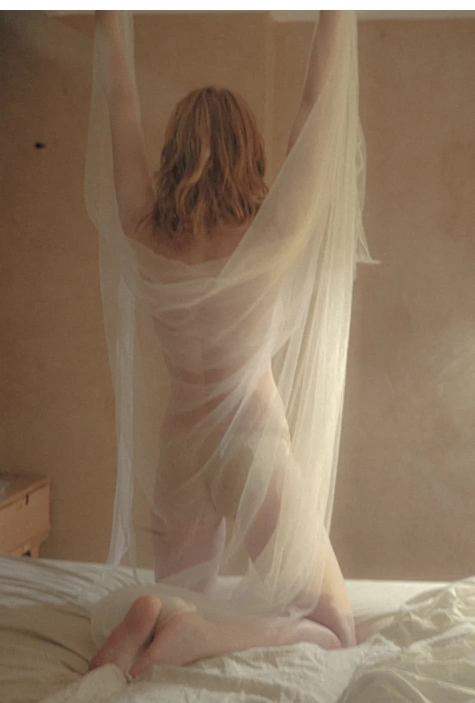 Veiled Elegance